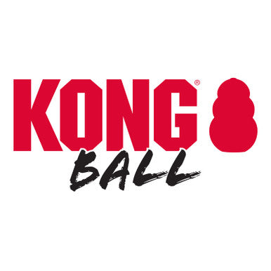 KONG Ball Rubber Dog Toy Small