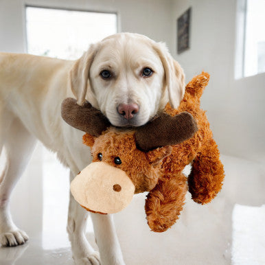 KONG Cozie Marvin Moose X-Large