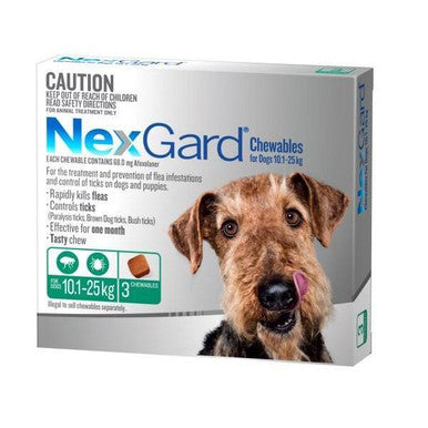 NexGard For Medium Dogs Green 10.1-25kg - 3 Pack