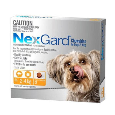 NexGard For Extra Small Dogs Orange 2.0-4kg - 6 Pack