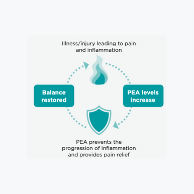 PAW PurePEA+ Omega for Dogs & Cats - 90 Capsules
