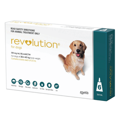 Revolution for Dogs 20.1-40kg - Teal 6 Pack