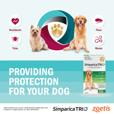 Simparica TRIO for Puppies 1.3-2.5 kg - 6 Chews Yellow