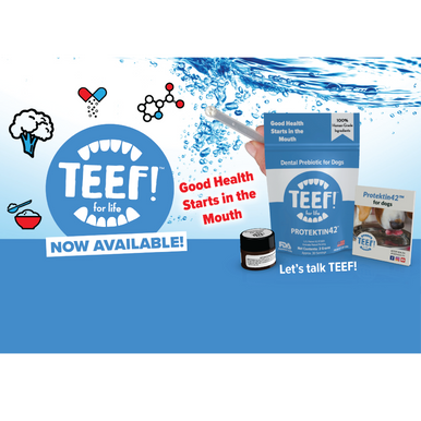 TEEF! Protektin42 Dental Water Additive for Dogs