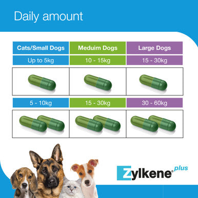 Zylkene Plus Calming Supplement Dogs 10-30kg - 30 Capsules